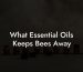 What Essential Oils Keeps Bees Away