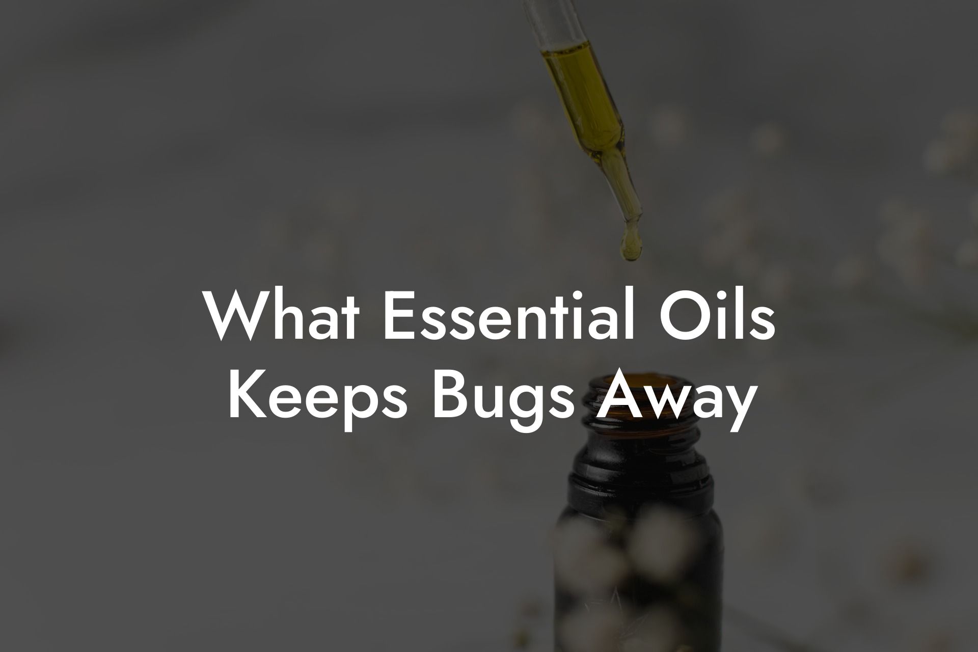 What Essential Oils Keeps Bugs Away
