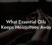 What Essential Oils Keeps Mosquitoes Away