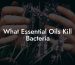 What Essential Oils Kill Bacteria
