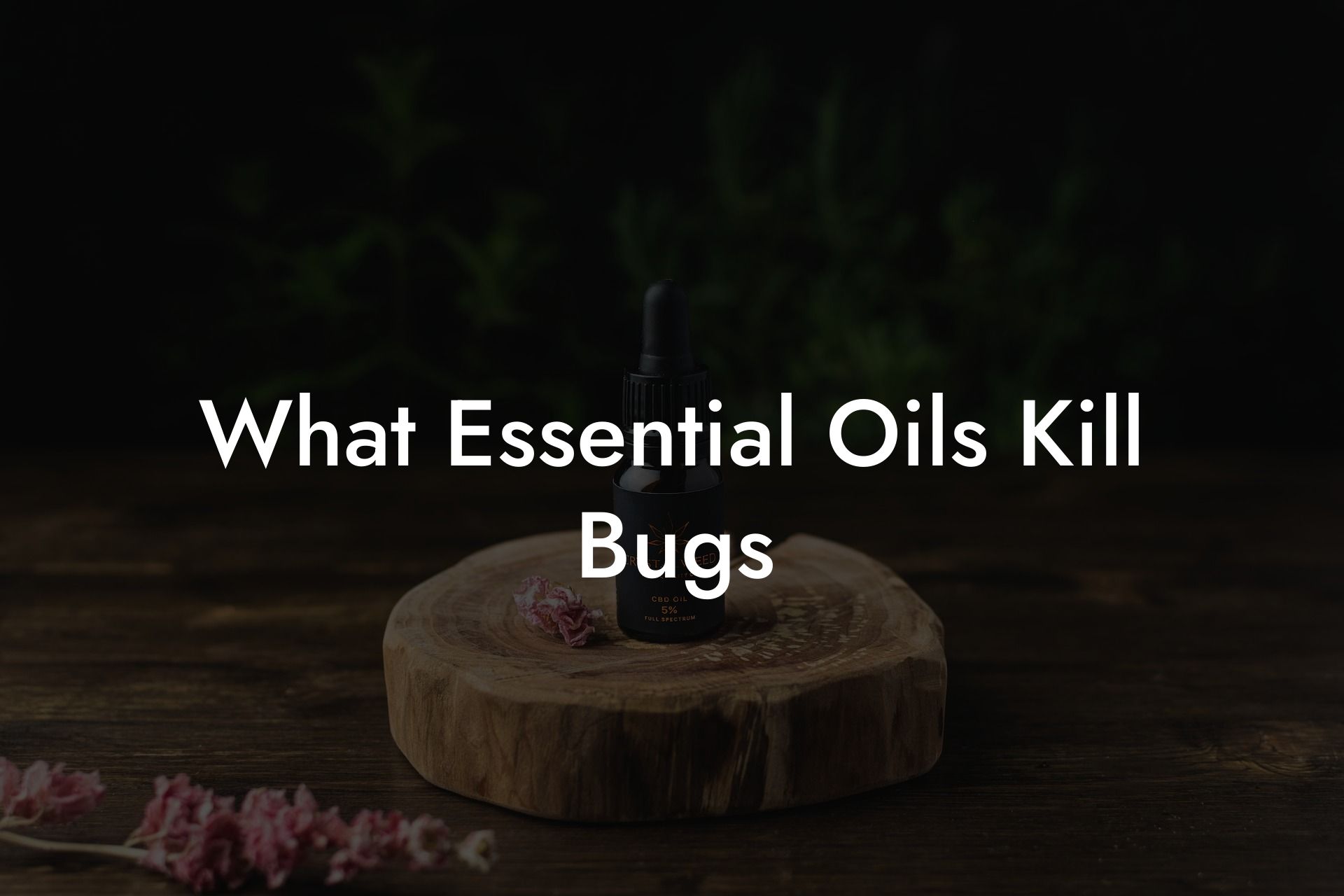 What Essential Oils Kill Bugs