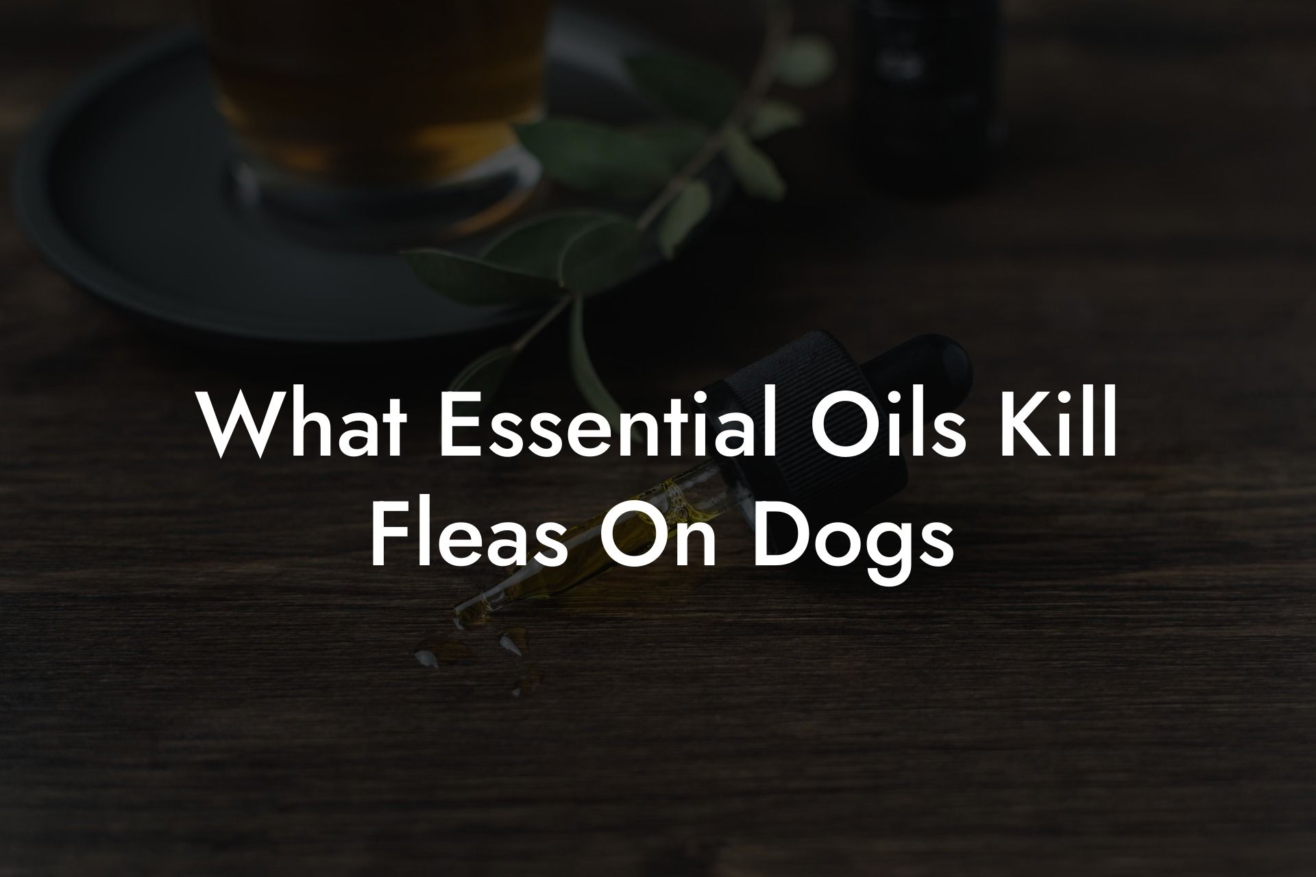 What Essential Oils Kill Fleas On Dogs