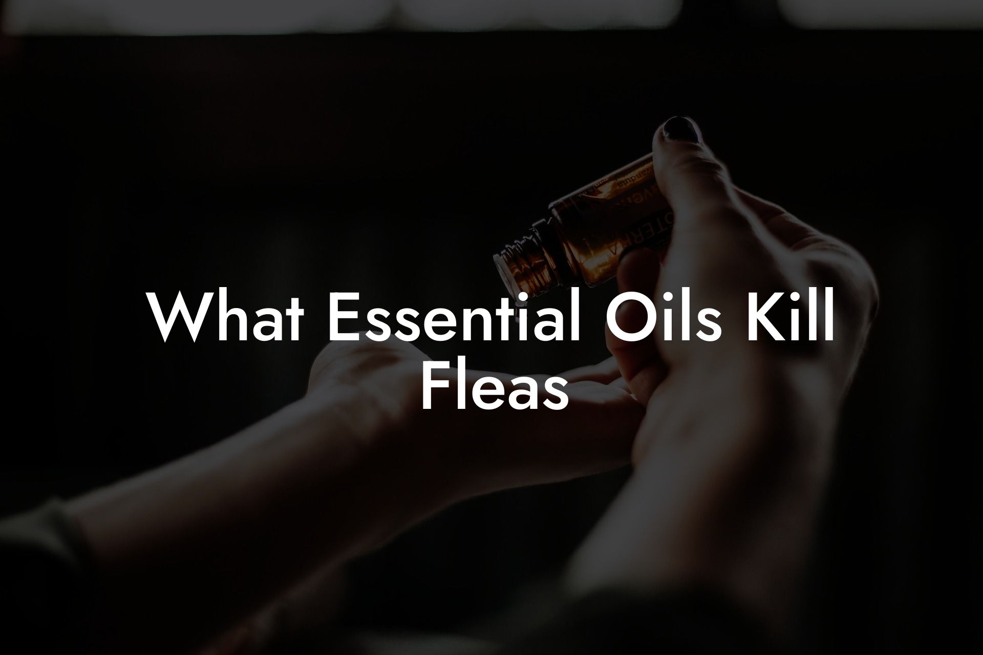 What Essential Oils Kill Fleas
