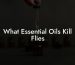What Essential Oils Kill Flies