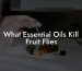 What Essential Oils Kill Fruit Flies