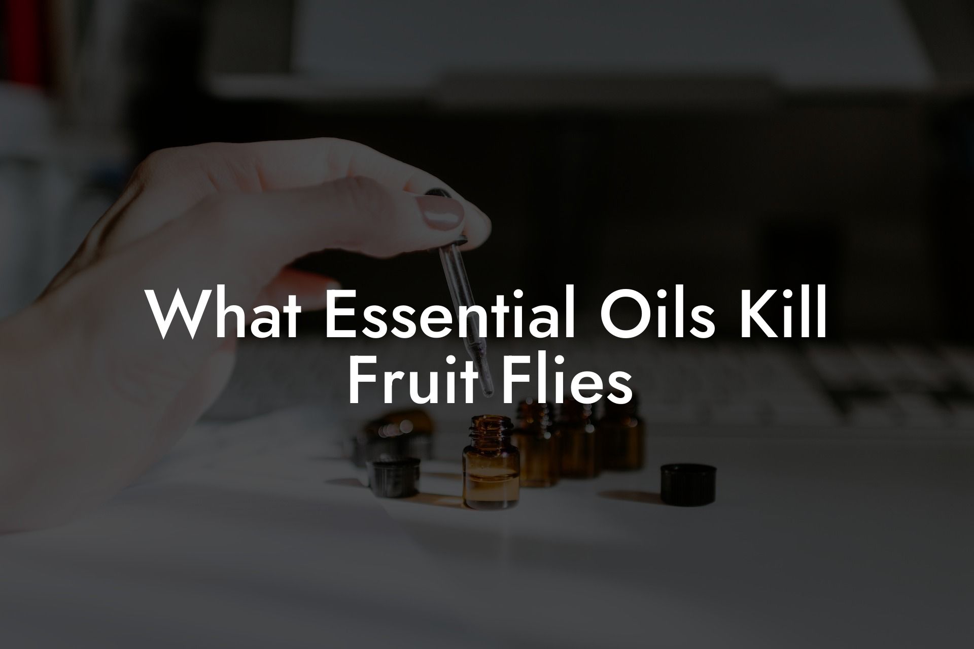 What Essential Oils Kill Fruit Flies