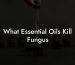 What Essential Oils Kill Fungus