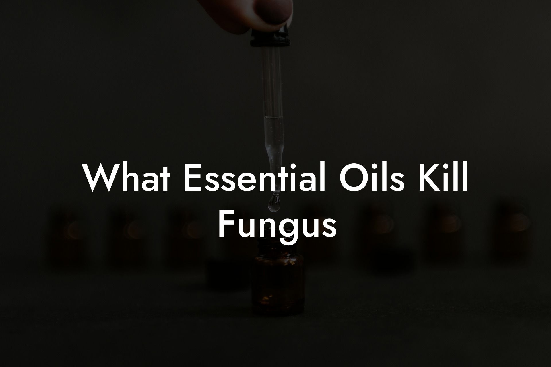 What Essential Oils Kill Fungus