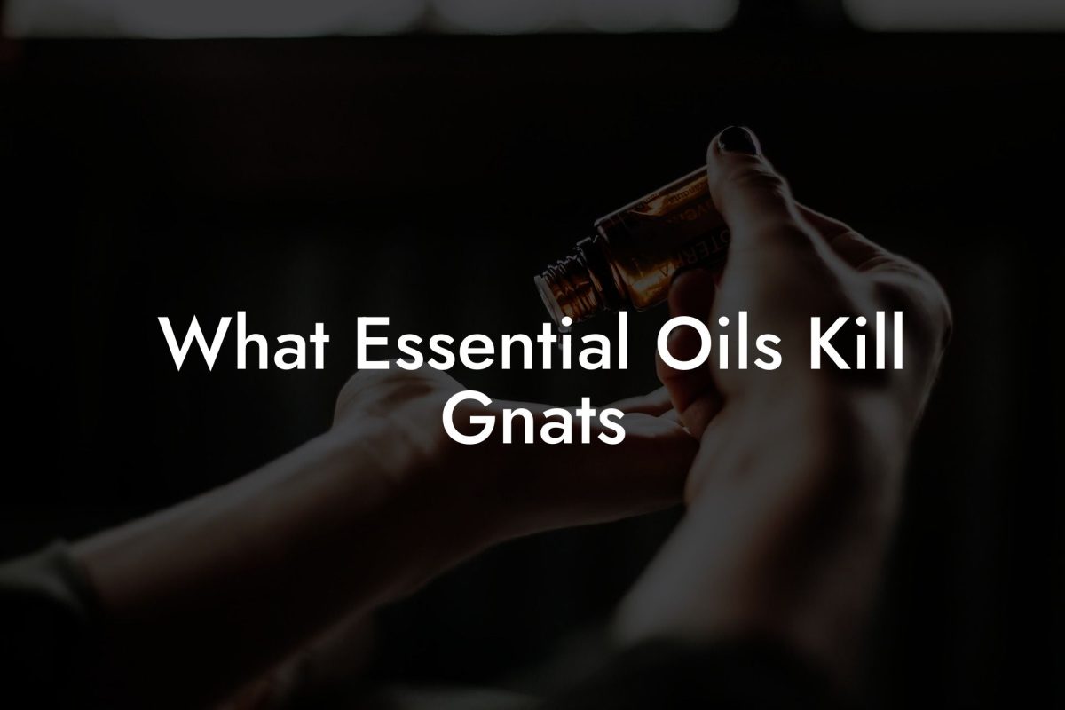 What Essential Oils Kill Gnats