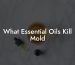 What Essential Oils Kill Mold