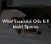 What Essential Oils Kill Mold Spores