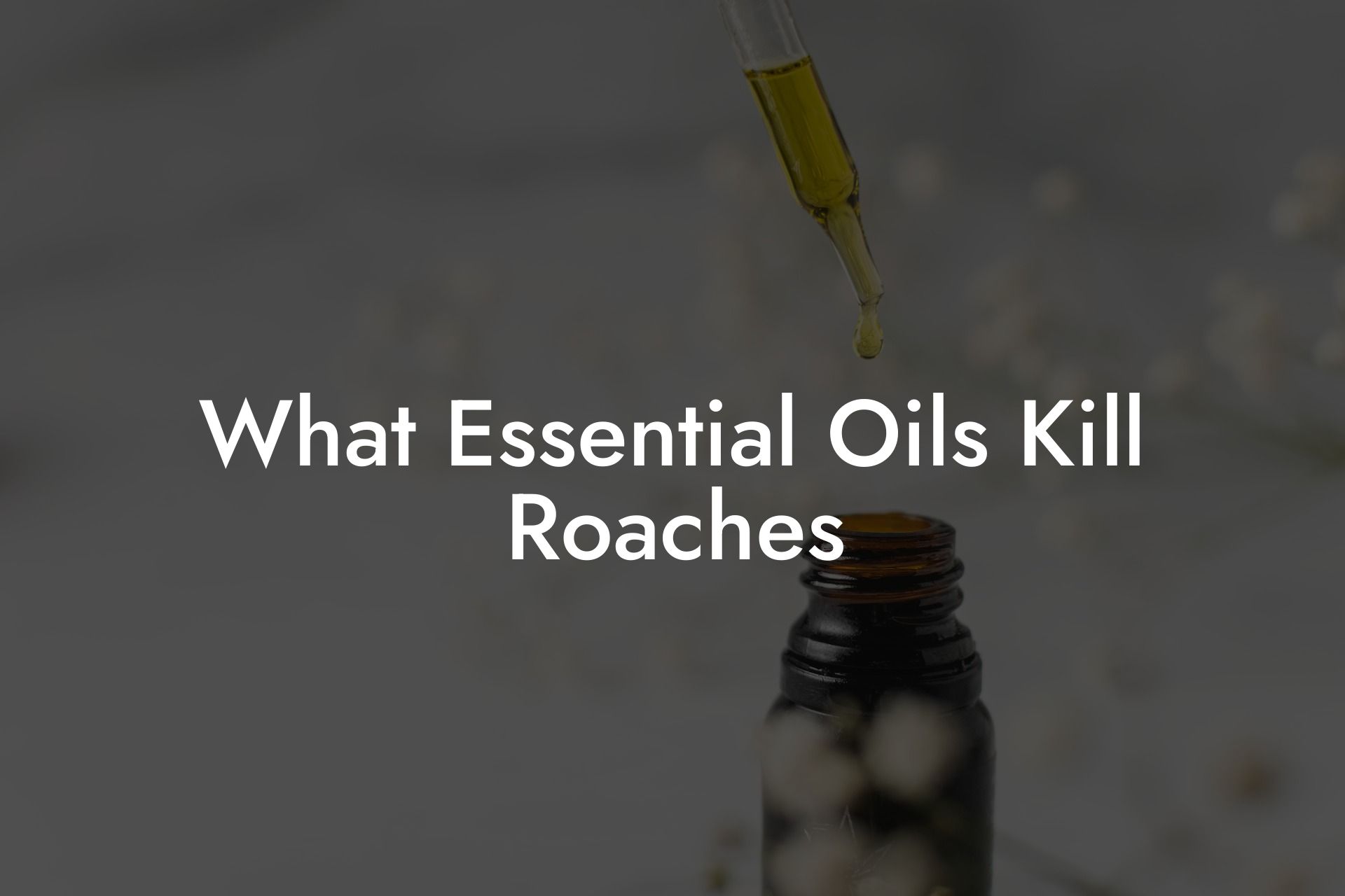 What Essential Oils Kill Roaches