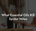 What Essential Oils Kill Spider Mites