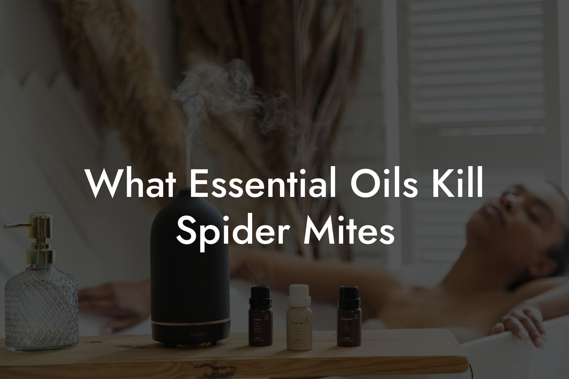 What Essential Oils Kill Spider Mites