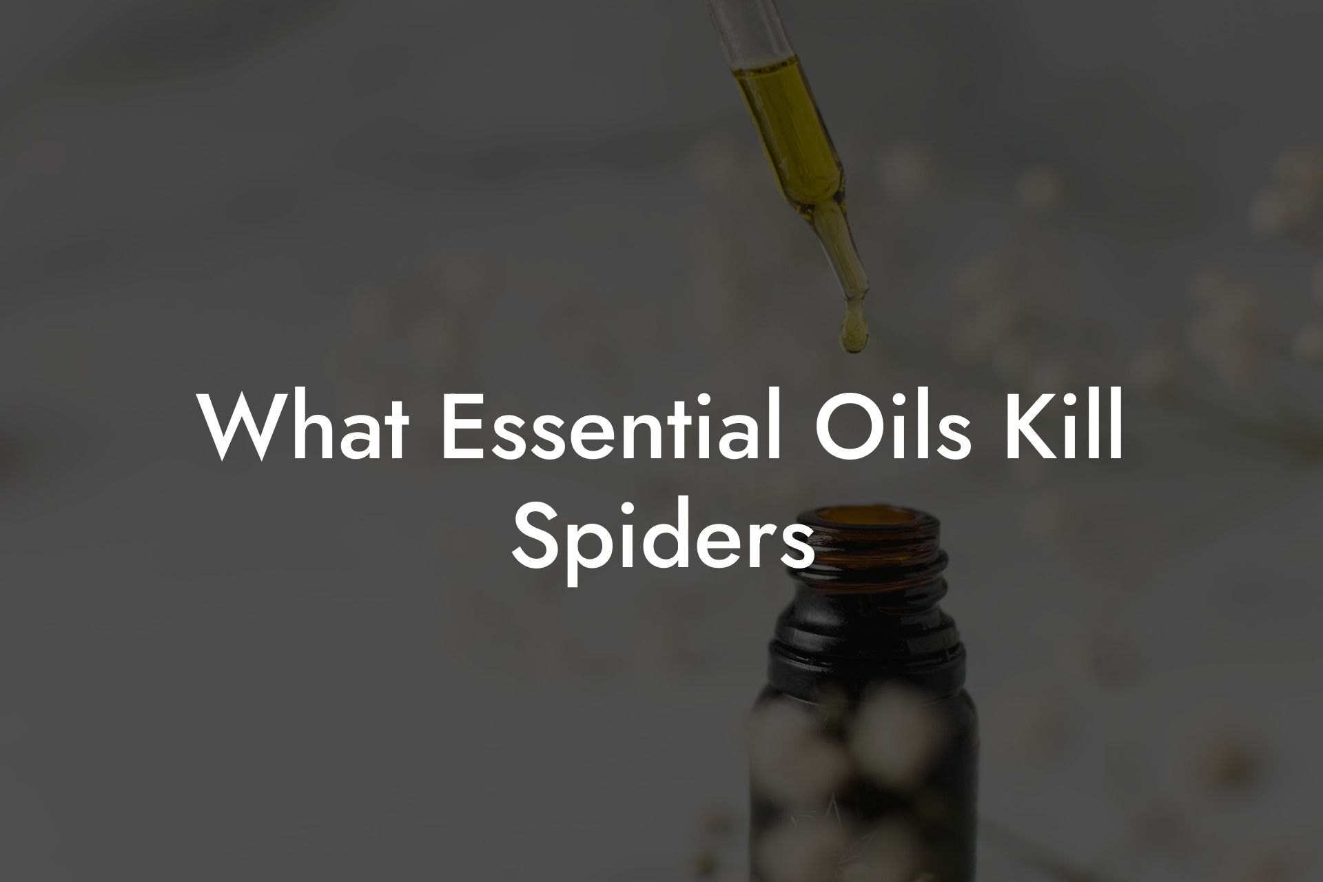 What Essential Oils Kill Spiders
