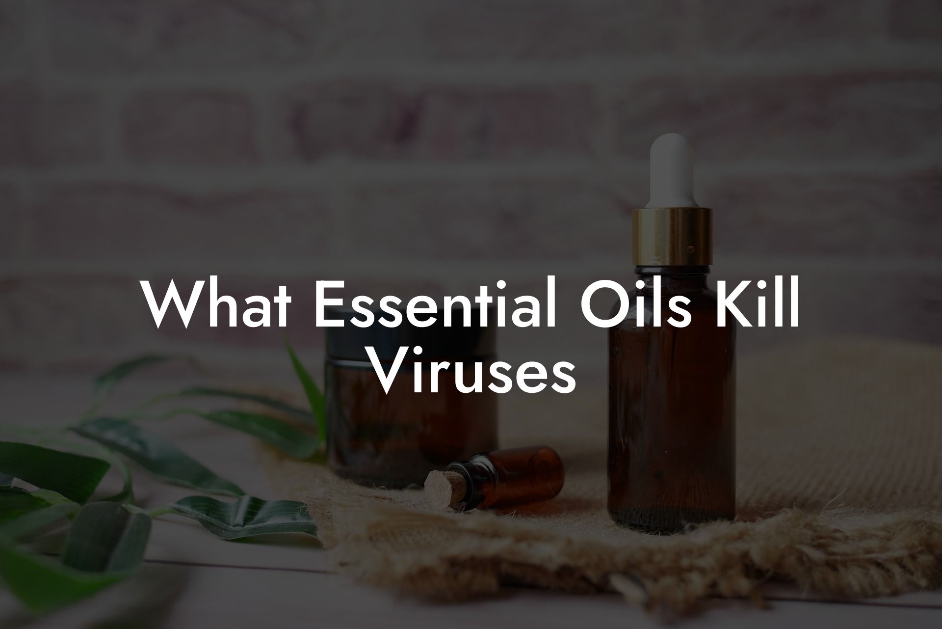 What Essential Oils Kill Viruses