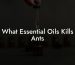 What Essential Oils Kills Ants