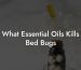 What Essential Oils Kills Bed Bugs