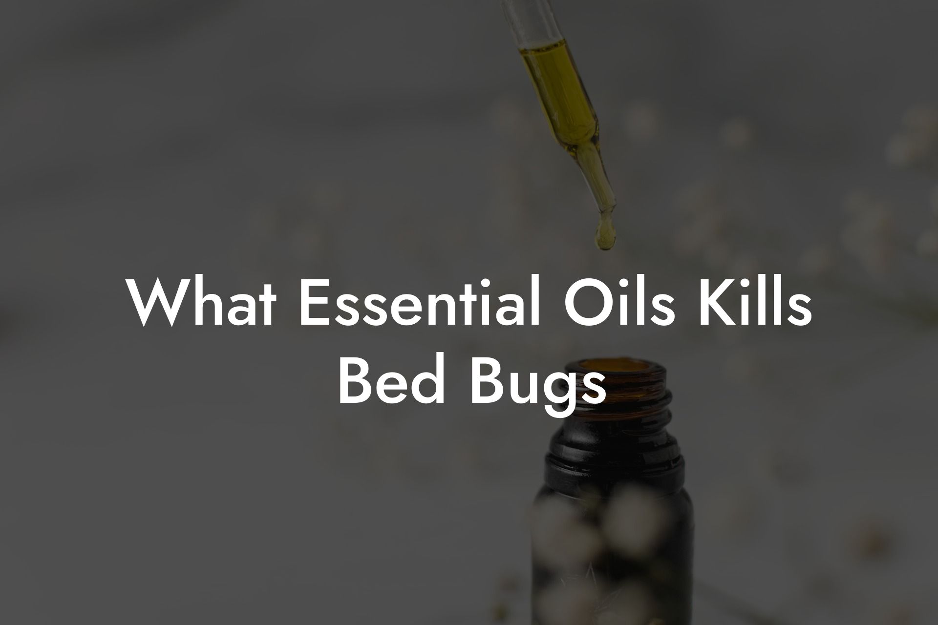 What Essential Oils Kills Bed Bugs