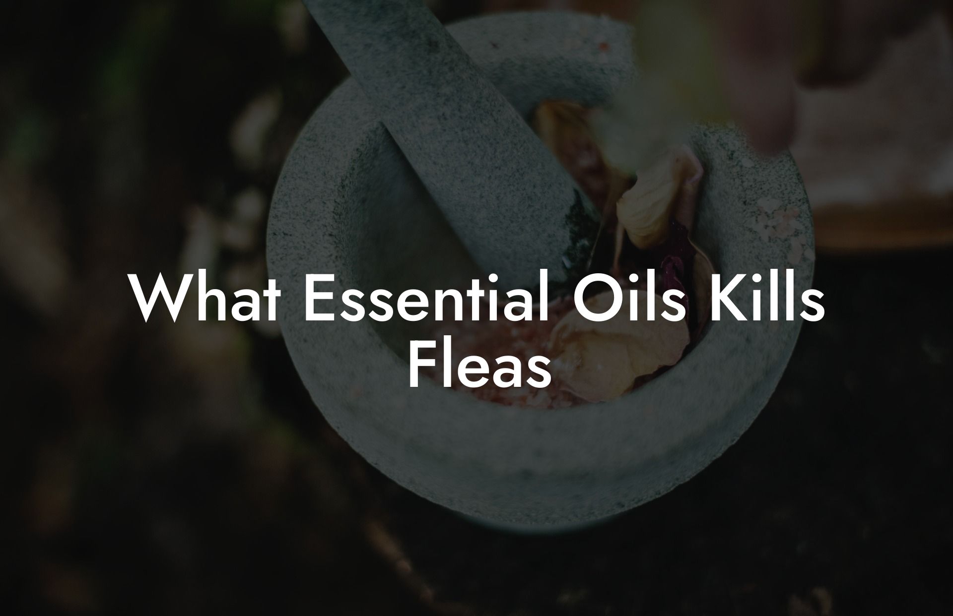 What Essential Oils Kills Fleas