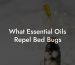 What Essential Oils Repel Bed Bugs