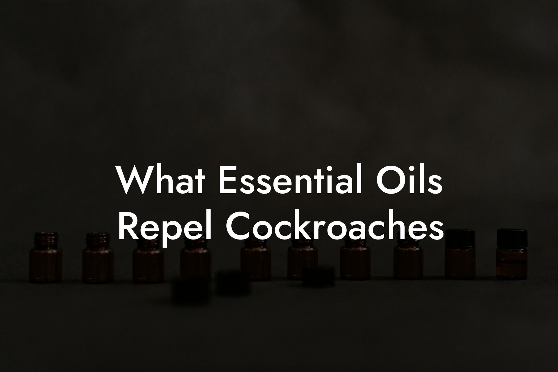 What Essential Oils Repel Cockroaches