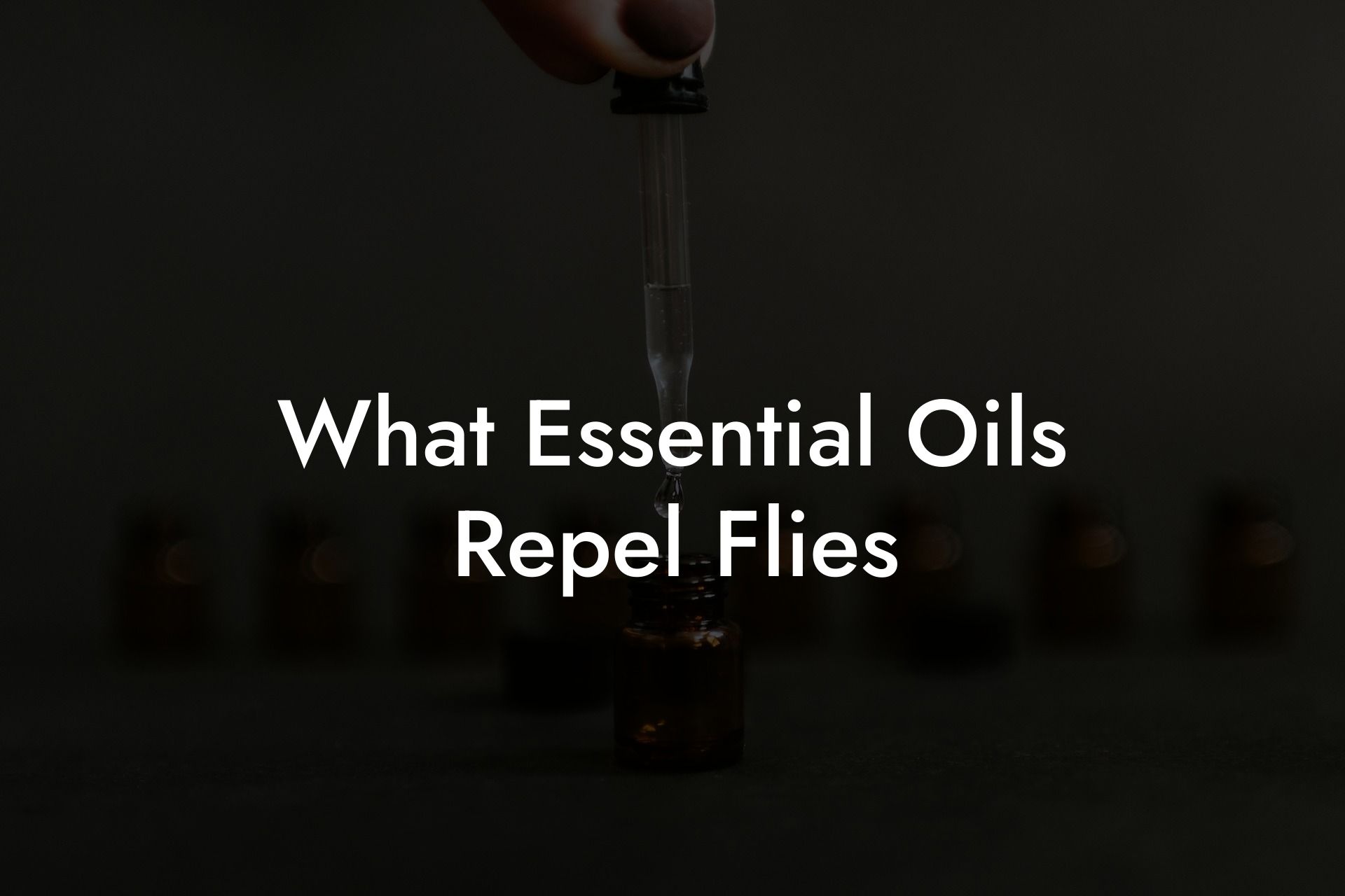 What Essential Oils Repel Flies