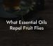 What Essential Oils Repel Fruit Flies