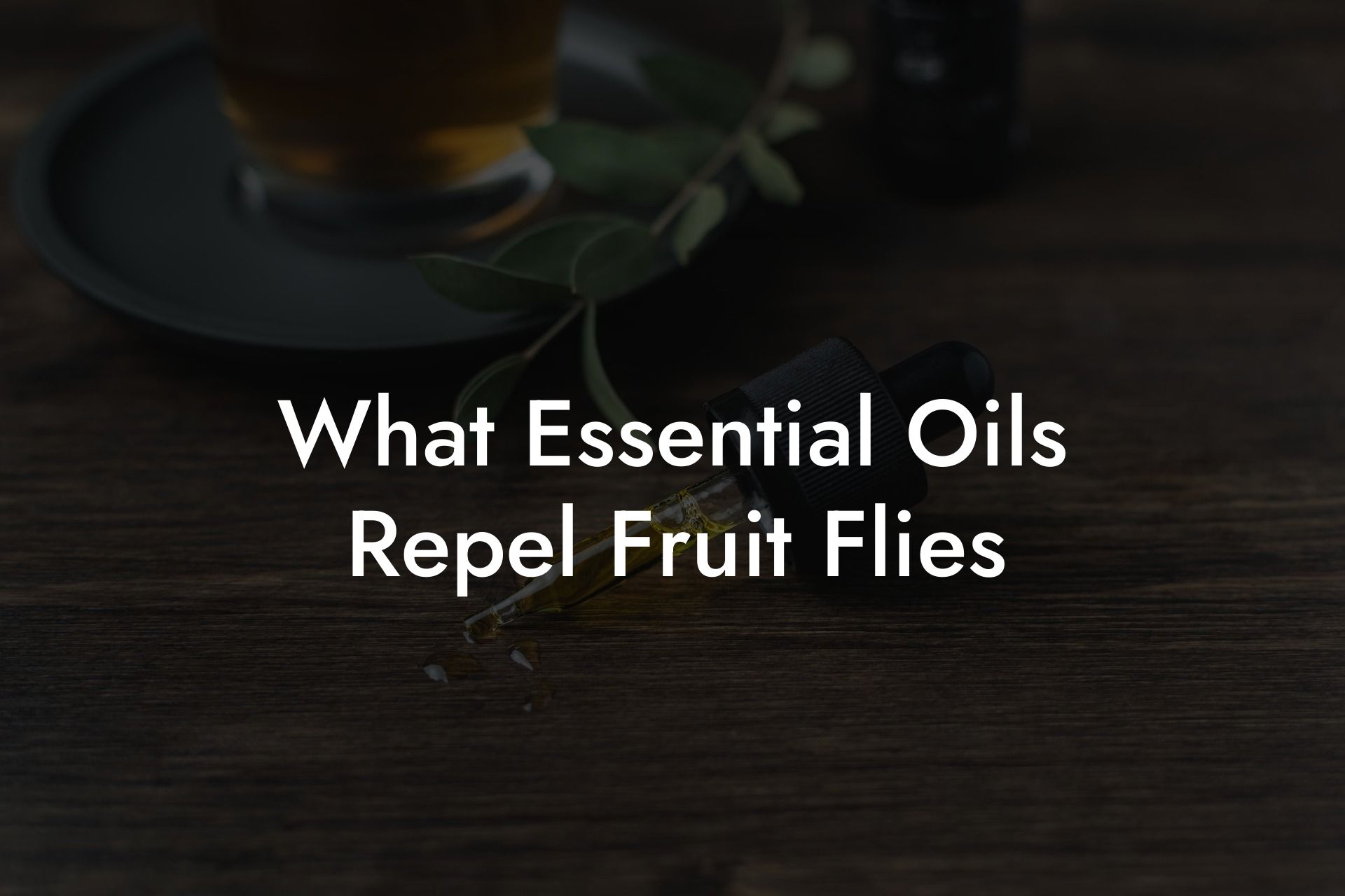 What Essential Oils Repel Fruit Flies