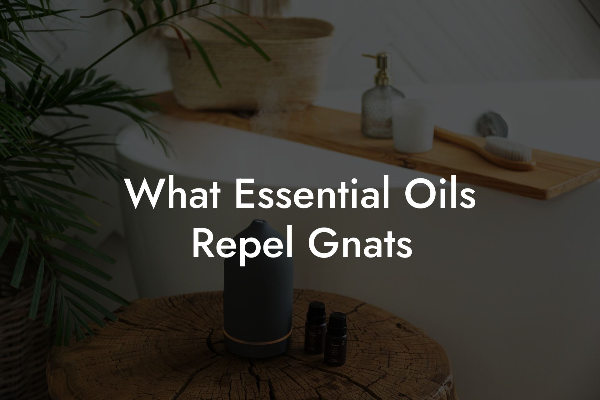 What Essential Oils Repel Gnats