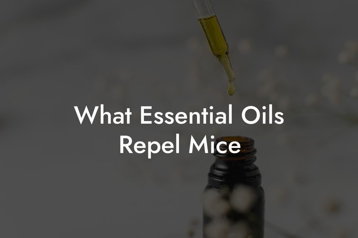 What Essential Oils Repel Mice