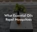 What Essential Oils Repel Mosquitoes