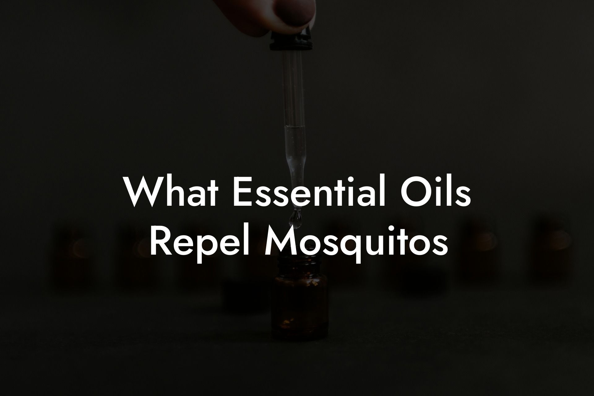 What Essential Oils Repel Mosquitos