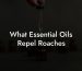 What Essential Oils Repel Roaches