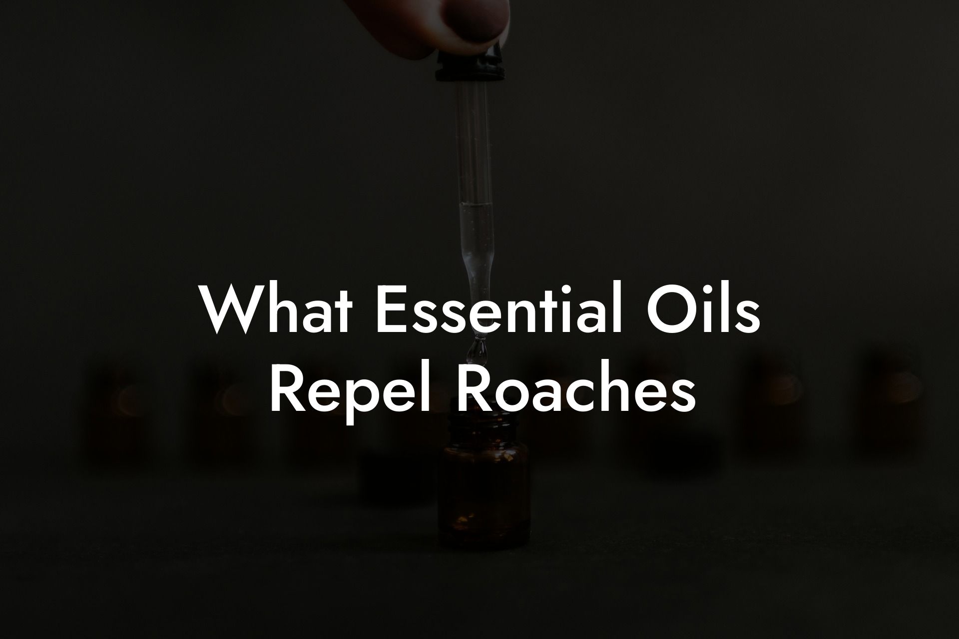 What Essential Oils Repel Roaches