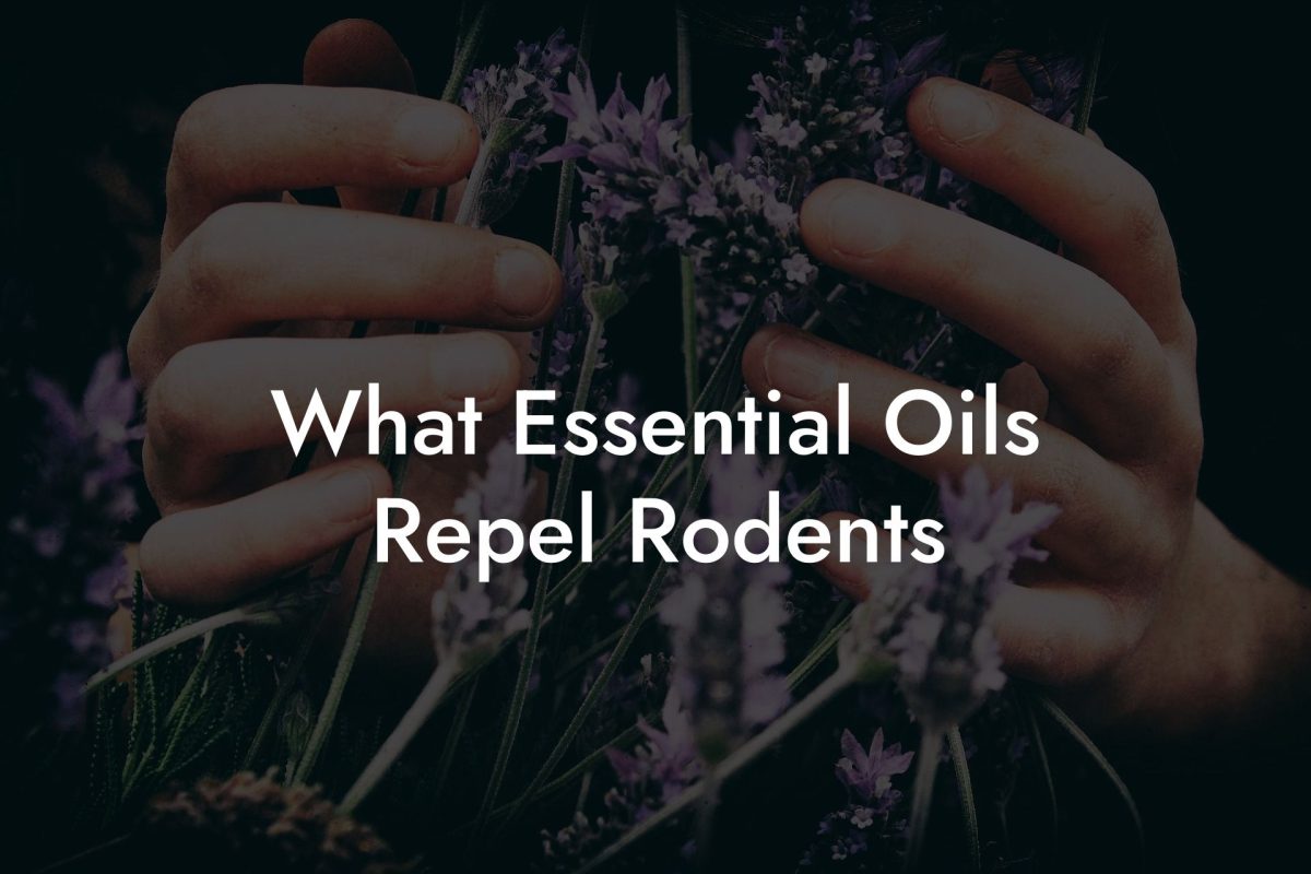 What Essential Oils Repel Rodents