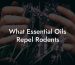 What Essential Oils Repel Rodents