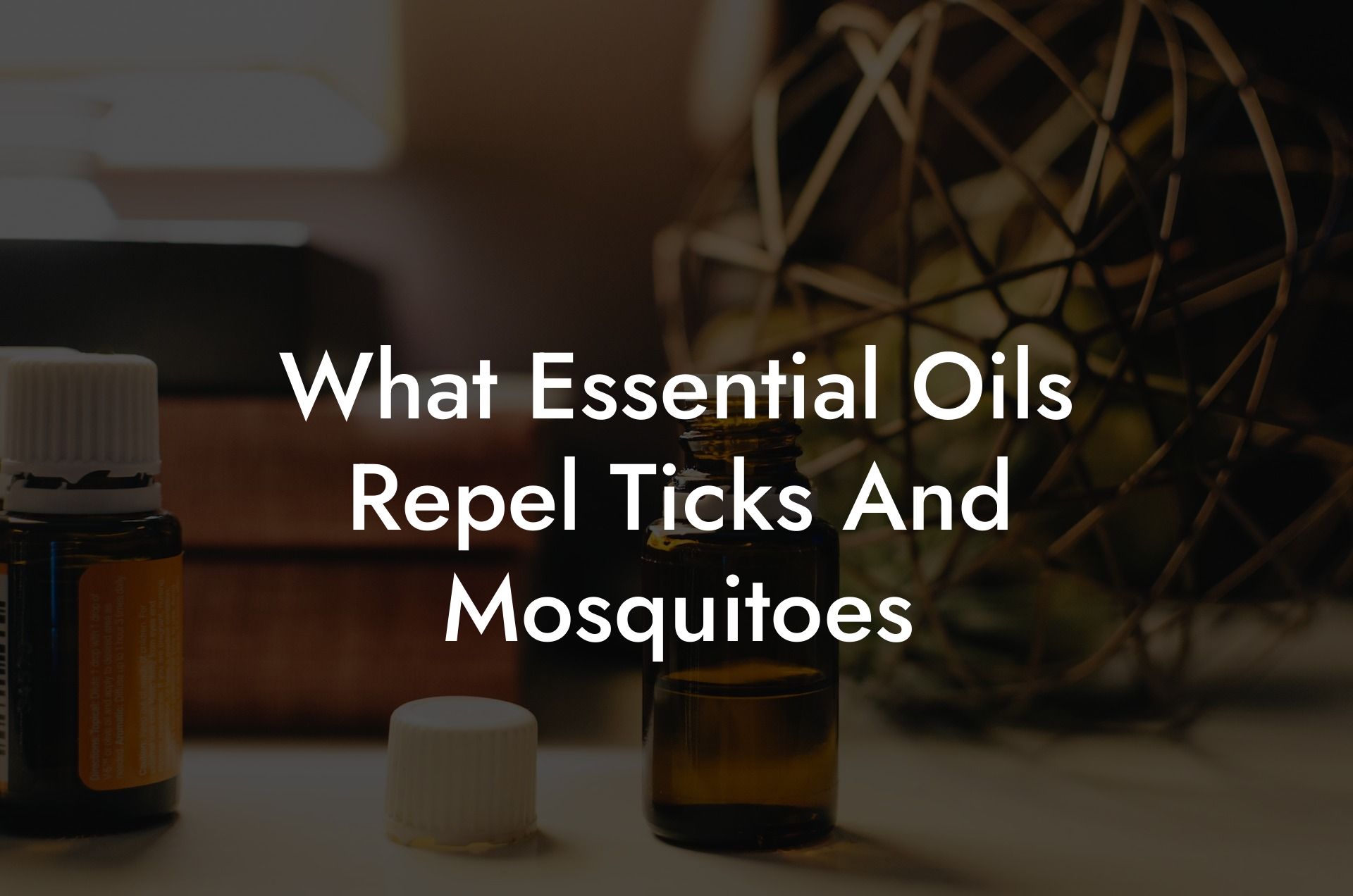 What Essential Oils Repel Ticks And Mosquitoes