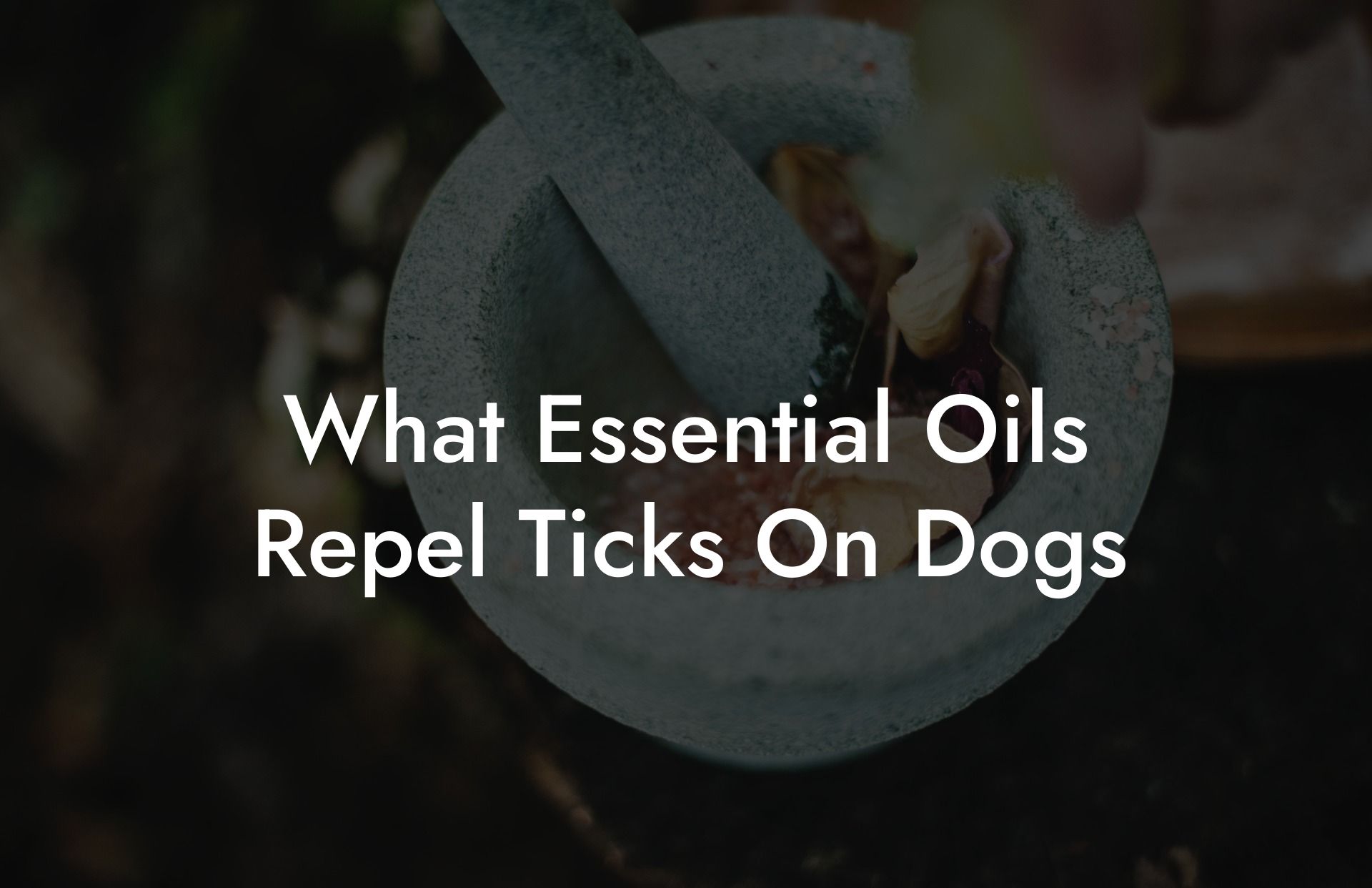 What Essential Oils Repel Ticks On Dogs