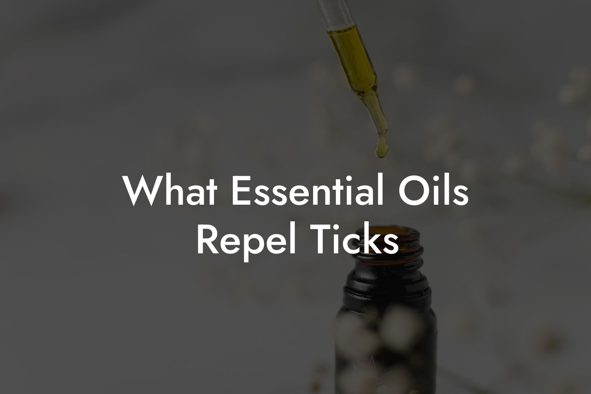 What Essential Oils Repel Ticks