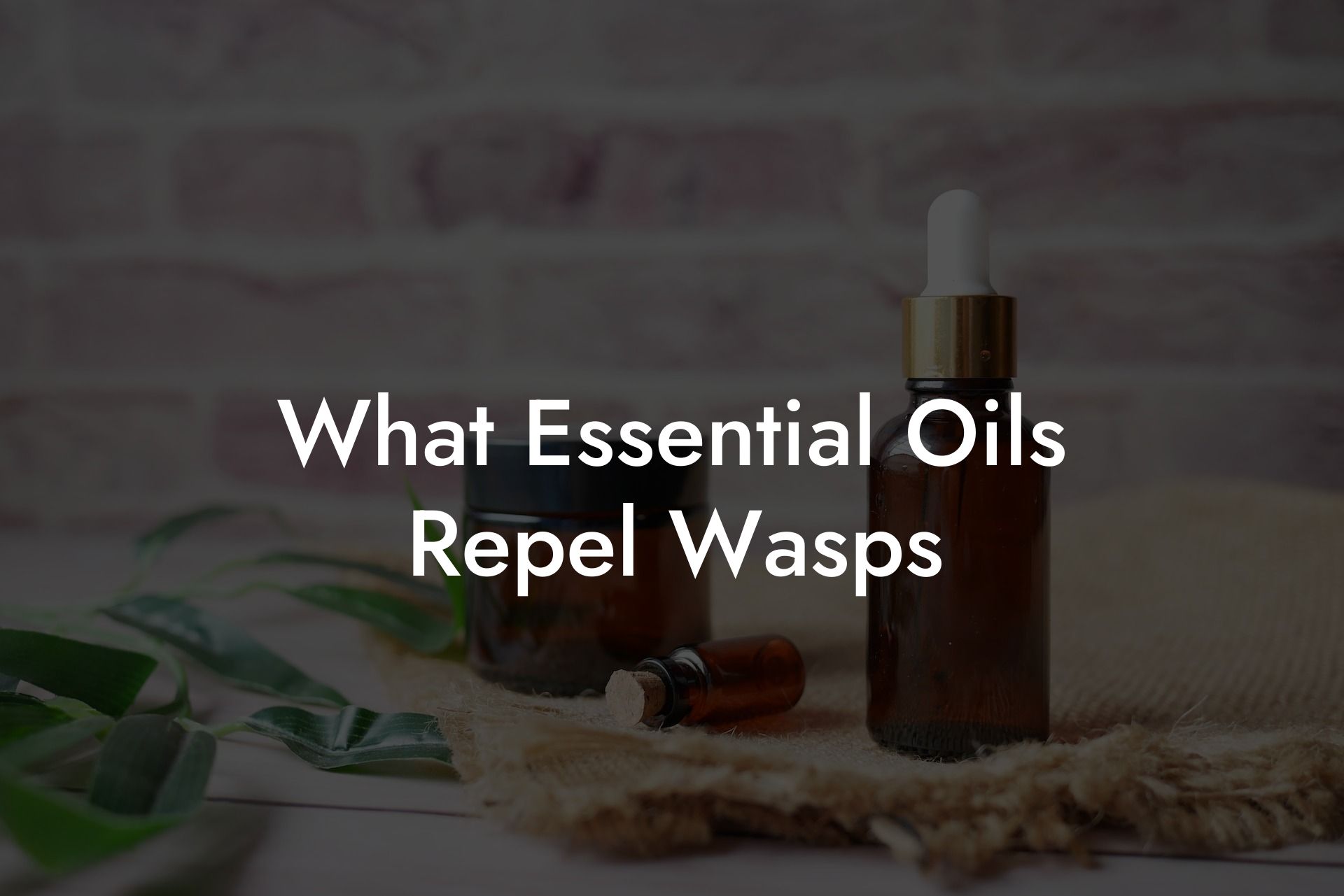 What Essential Oils Repel Wasps