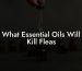 What Essential Oils Will Kill Fleas