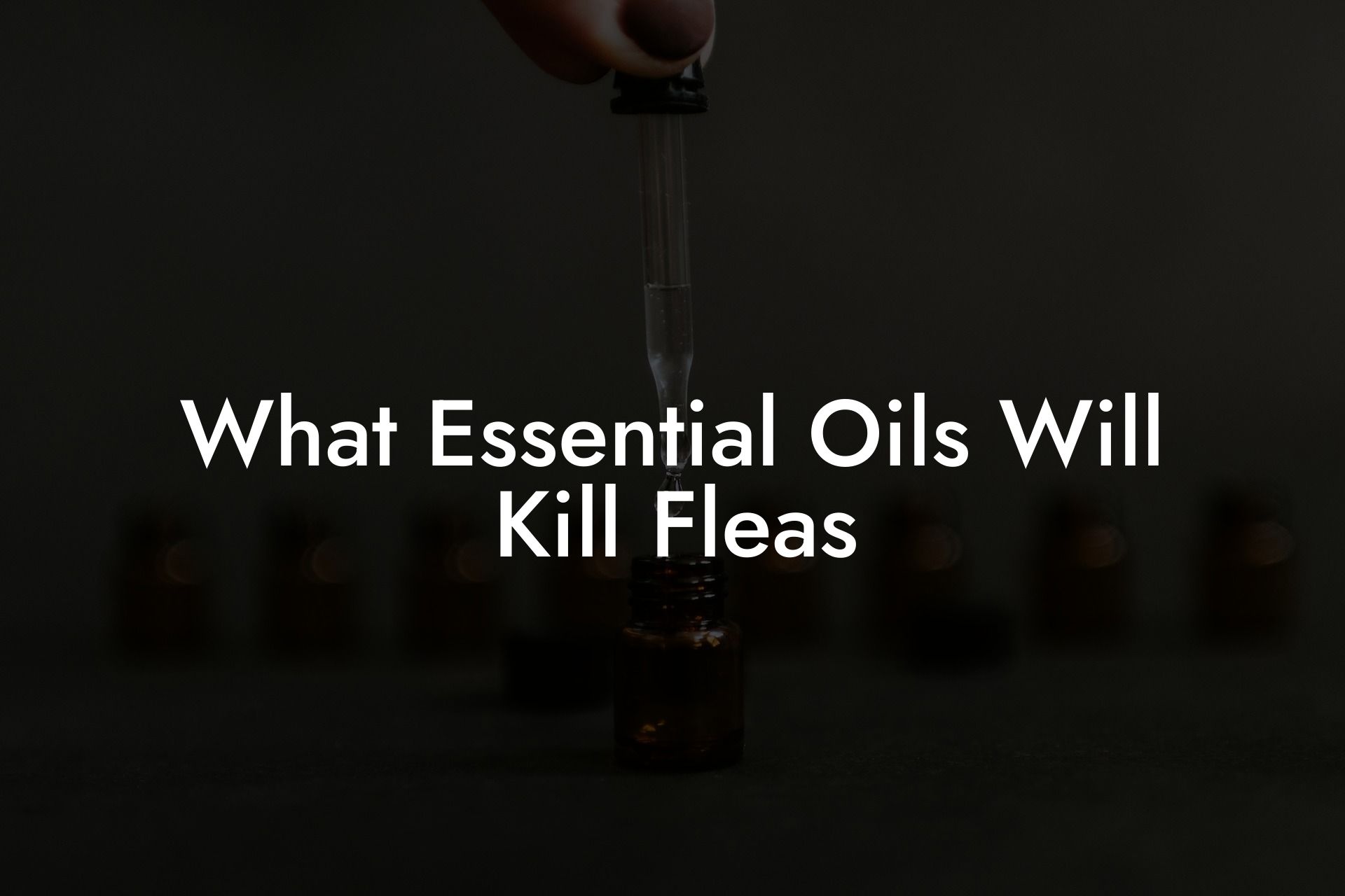 What Essential Oils Will Kill Fleas