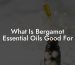 What Is Bergamot Essential Oils Good For