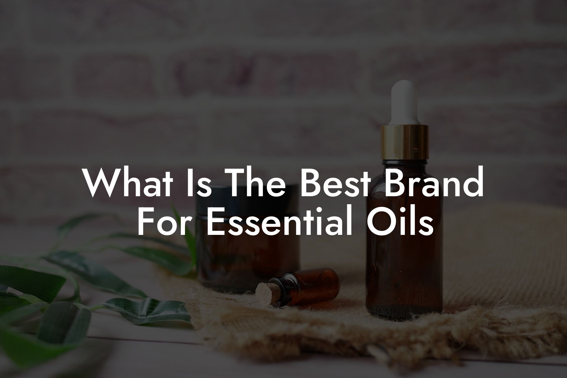 What Is The Best Brand For Essential Oils