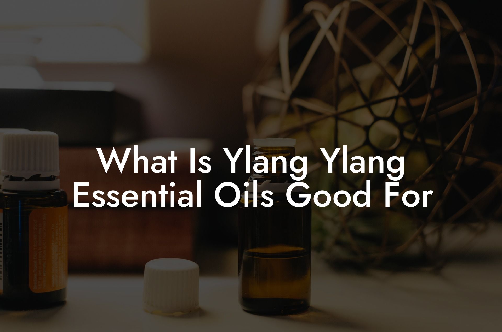 What Is Ylang Ylang Essential Oils Good For