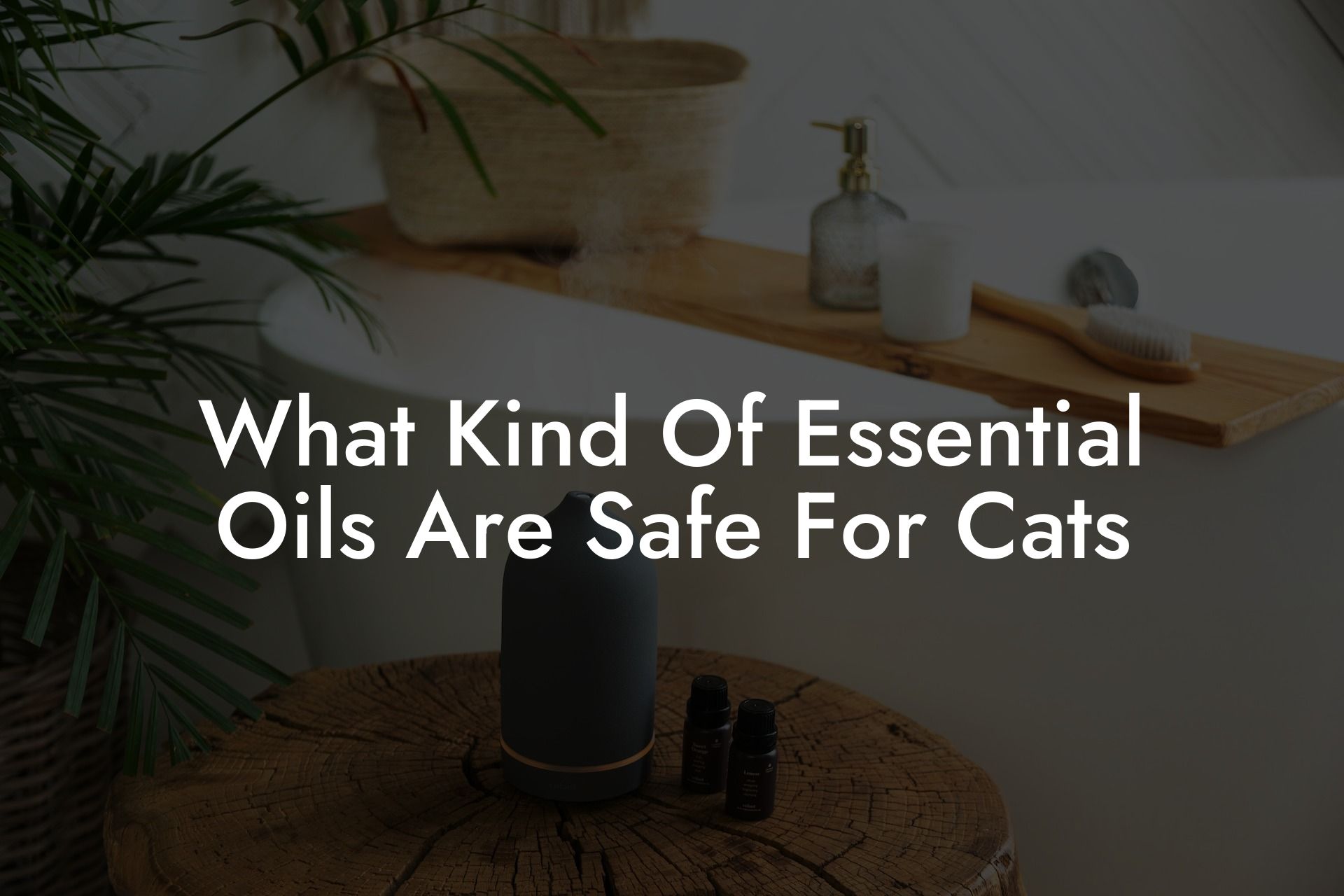 What Kind Of Essential Oils Are Safe For Cats