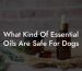 What Kind Of Essential Oils Are Safe For Dogs