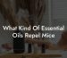 What Kind Of Essential Oils Repel Mice