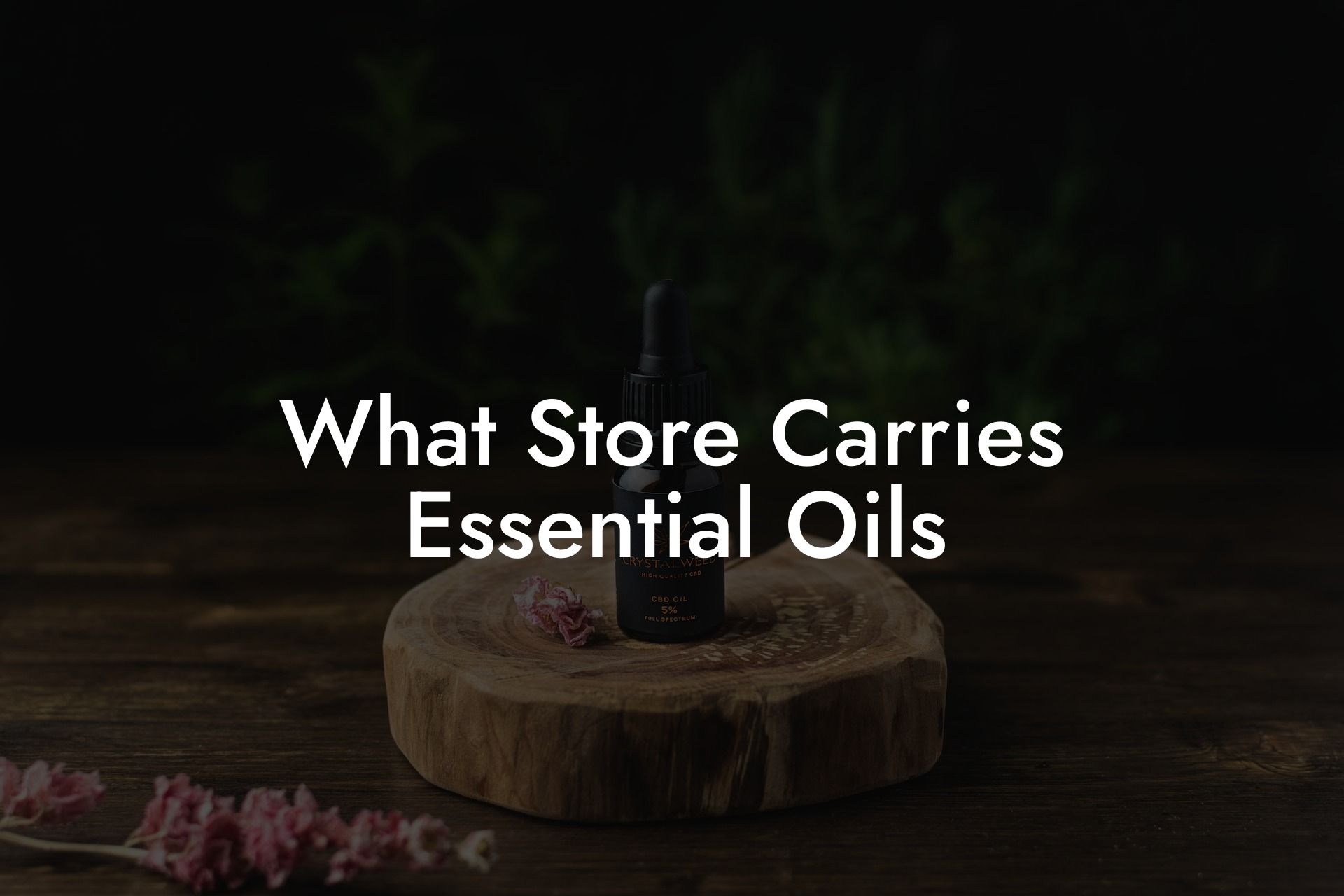What Store Carries Essential Oils